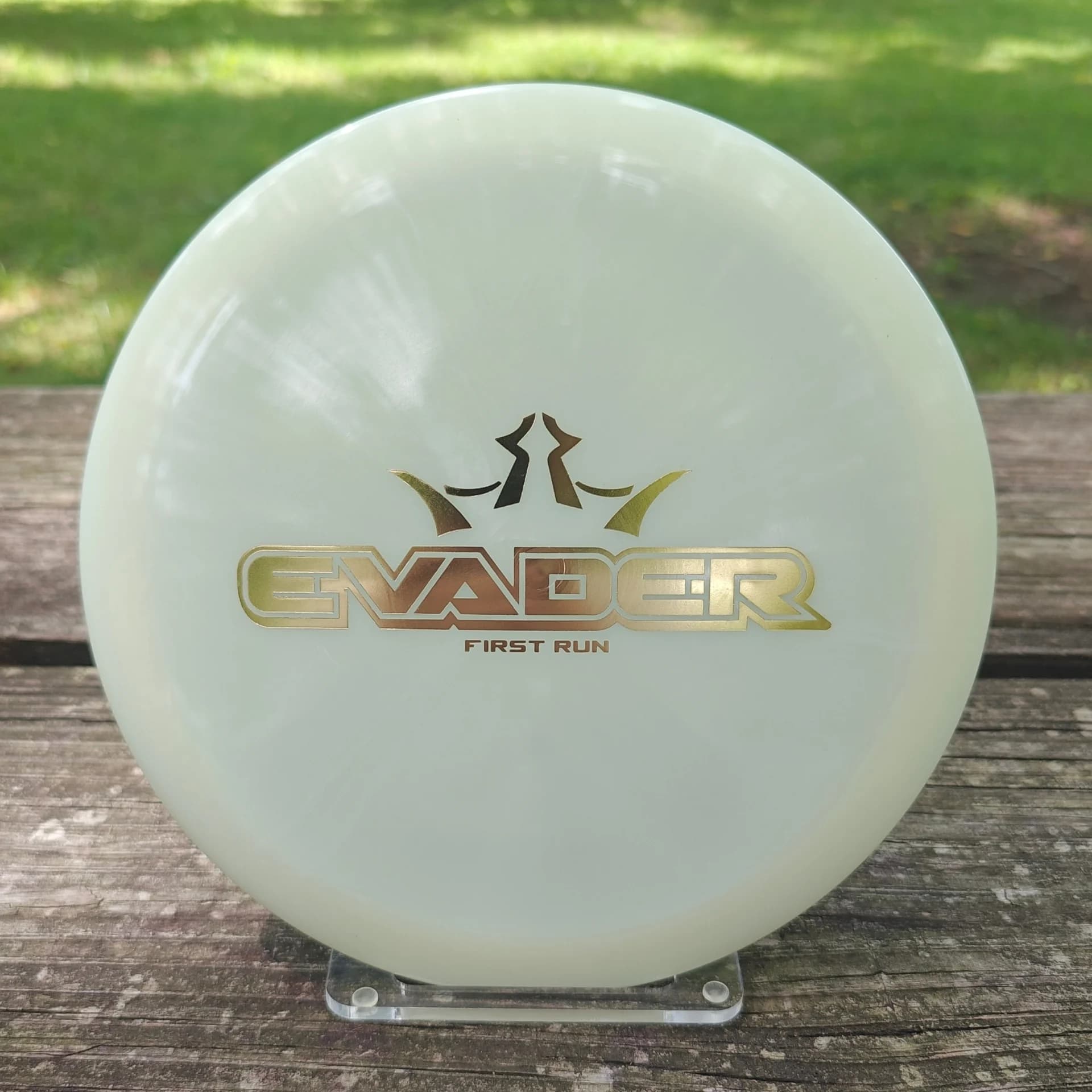 Dynamic Evader