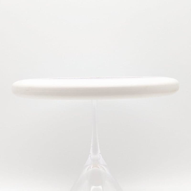 NEW Dynamic Discs Prototype Prime Guard - 174g