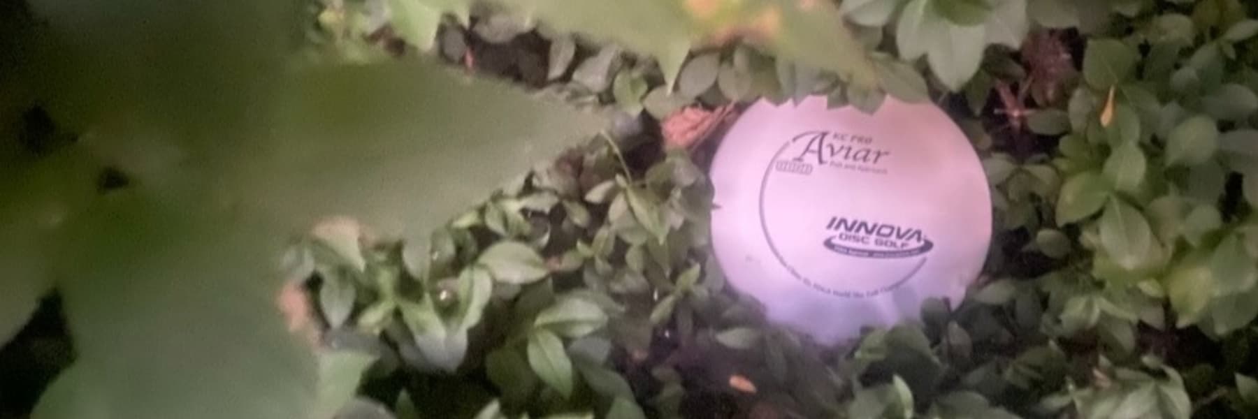 Dave's Disc Dynasty