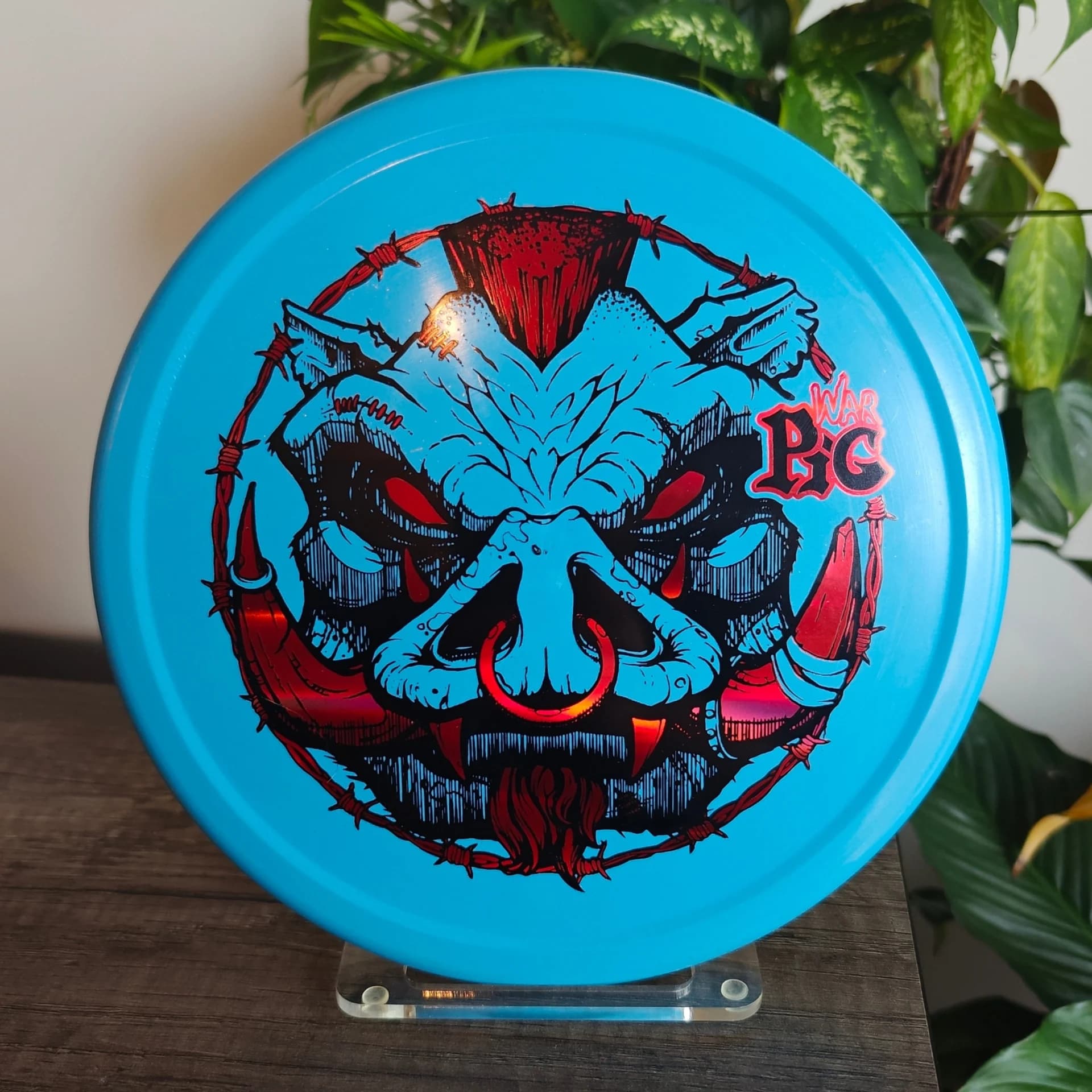 Innova Pig