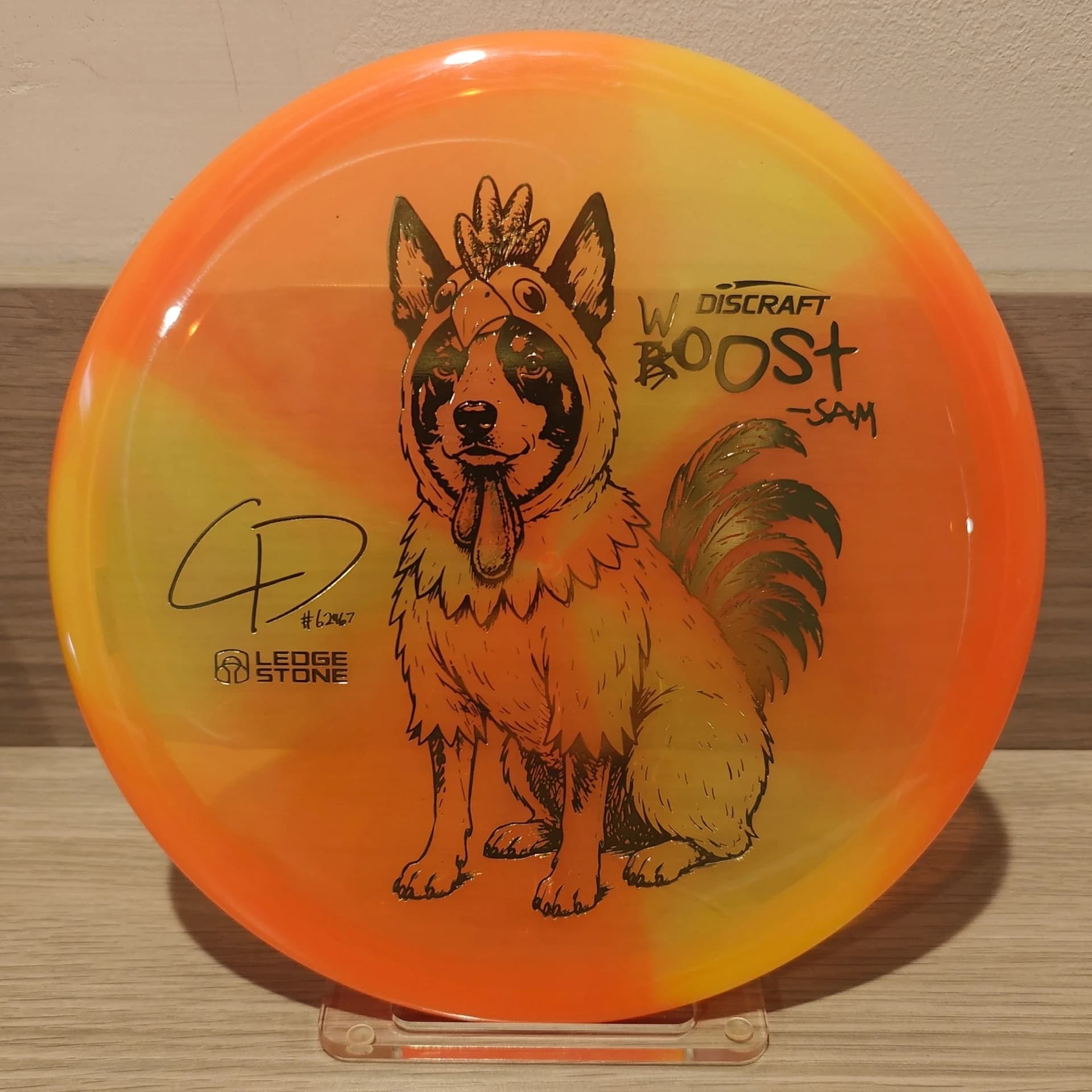 Discraft Roost