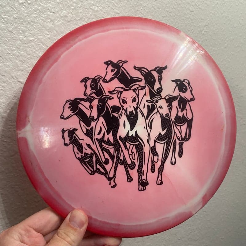 Innova Whippet