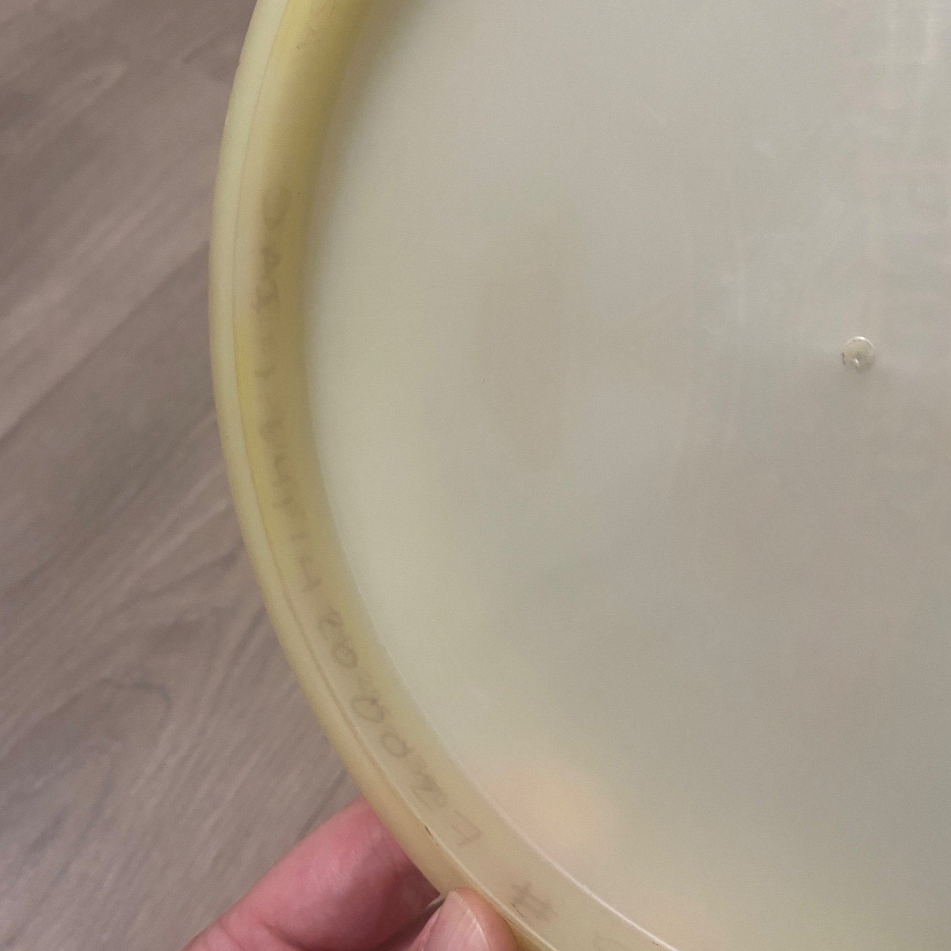 2009 Discraft Limited Edition Z Drone - KC PDGA World Championships