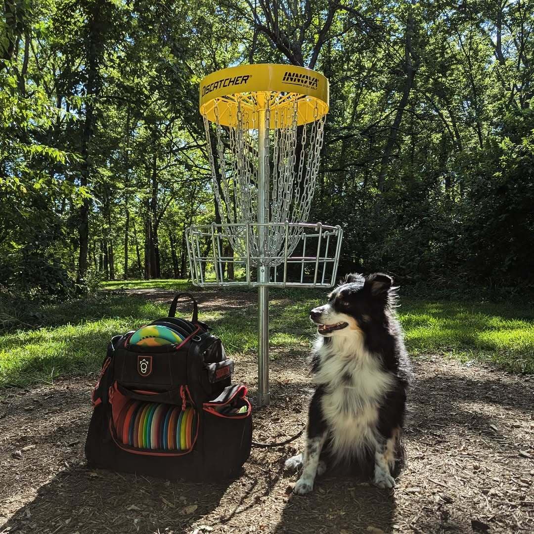 Disc golfers on the course, the community behind Disc.Market