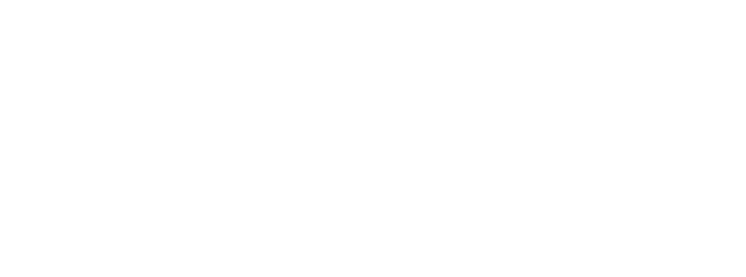 Lone Star logo