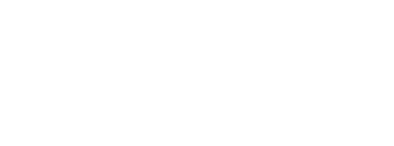 Lone Star logo