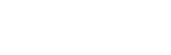 Mint logo